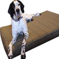 Memory Foam Dog Bed  - Tweed